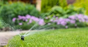 Irrigation Systems